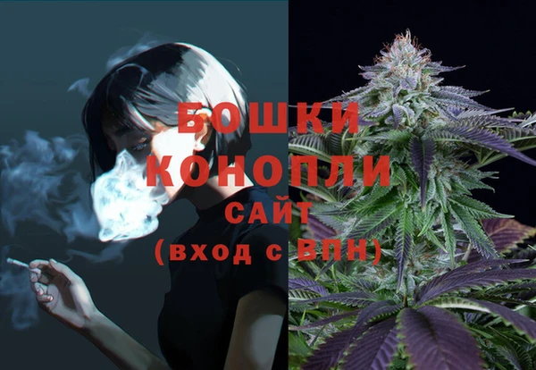 сатива Верхний Тагил