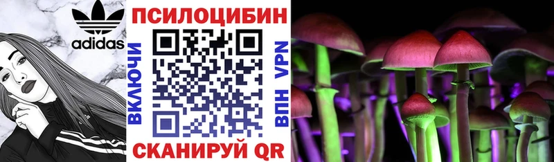 Галлюциногенные грибы ЛСД где купить наркотик Камызяк
