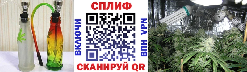 Марихуана планчик Камызяк
